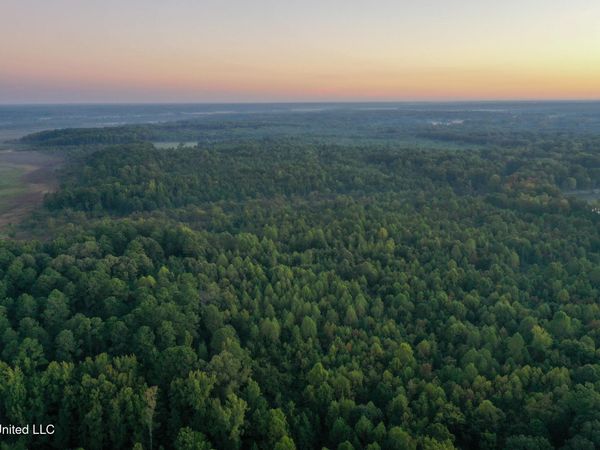 Davis Lane, Hernando, MS 38632