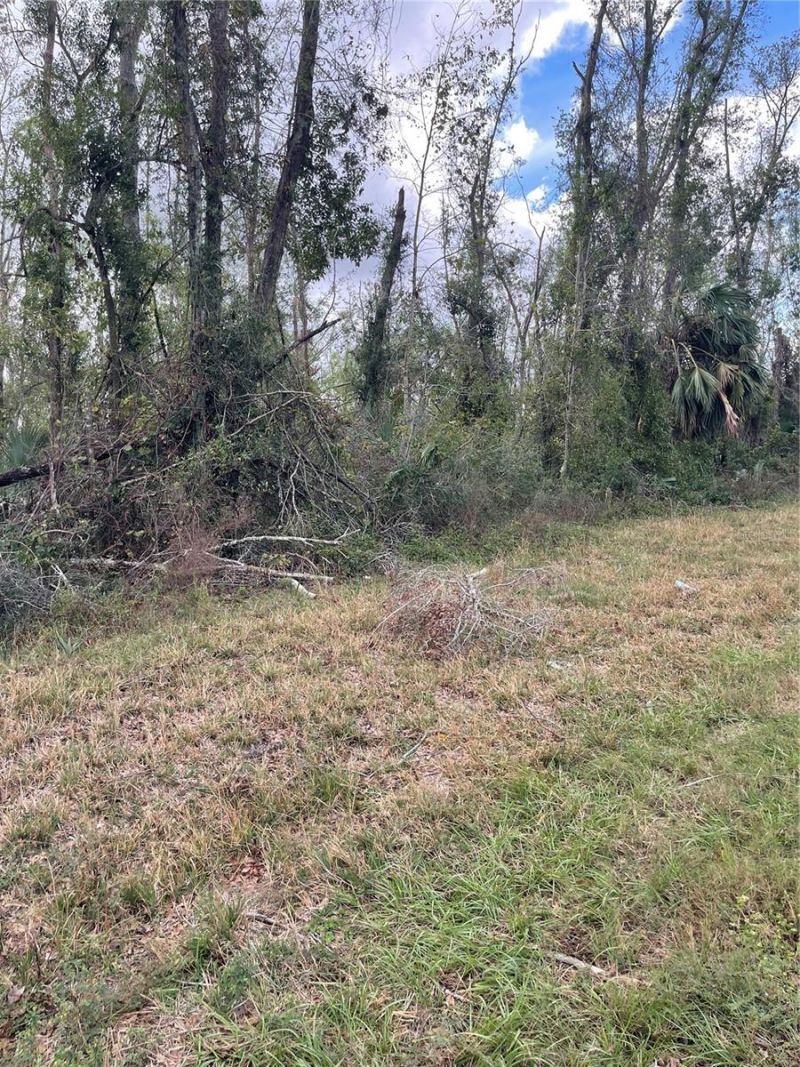 000 W Us 27, Lot #LOT 5, Mayo, FL 32066 Photo