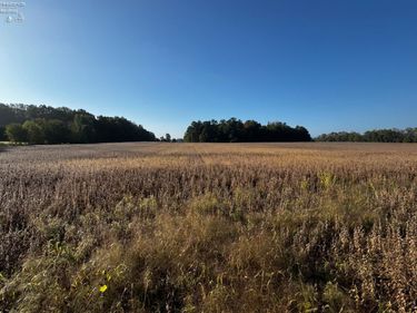 0 Section Line Road, New London, OH 44851
