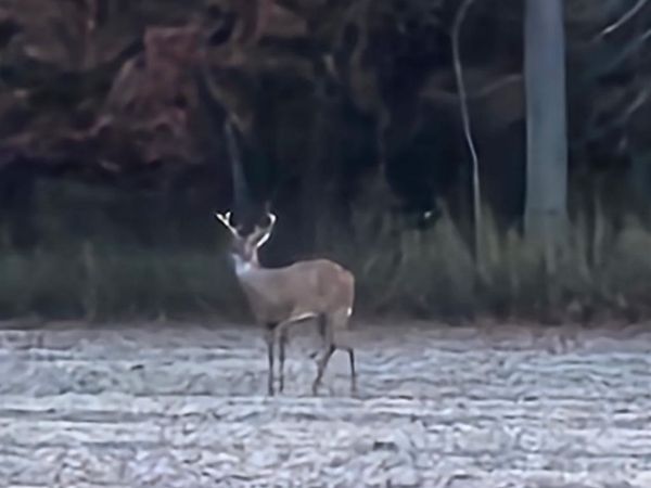 0 Section Line Road, New London, OH 44851