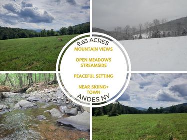 TBD Lower Dingle Hill Road, Andes, NY 13731