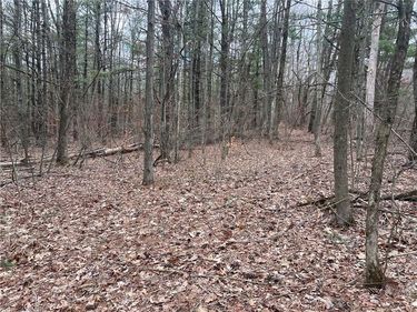 Lot - 62.1 Welty Road, Lindley, NY 14858