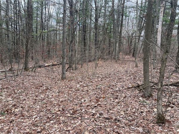 Lot - 62.1 Welty Road, Lindley, NY 14858