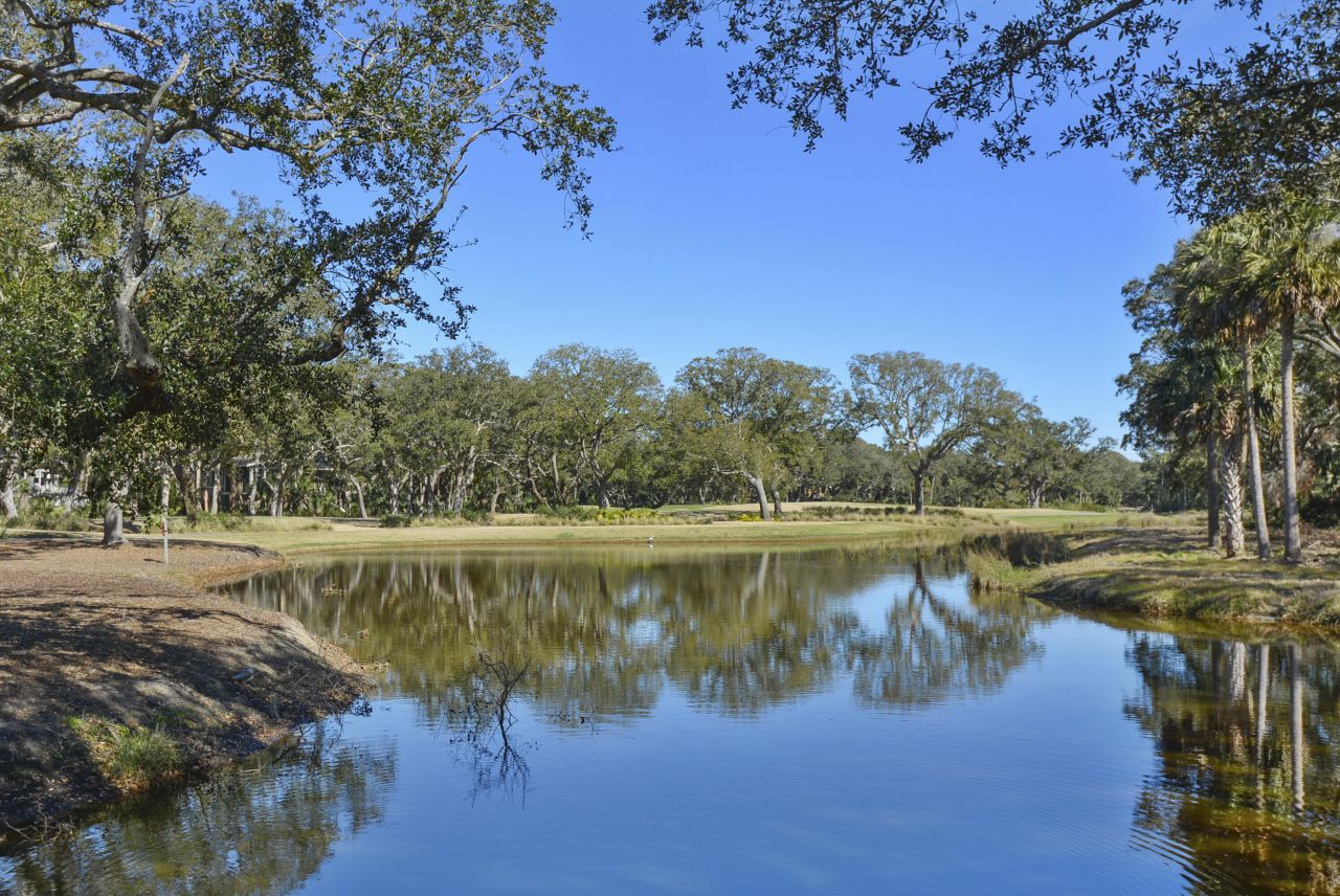 1355 Dunlin Court Photo 39