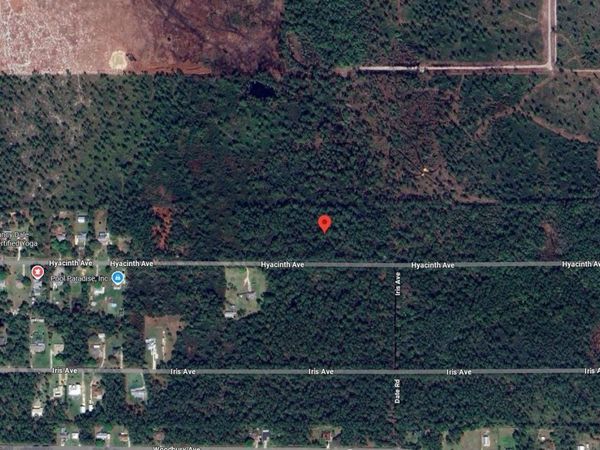 1016 Hyacinth Avenue Avenue, Sebring, FL 33875