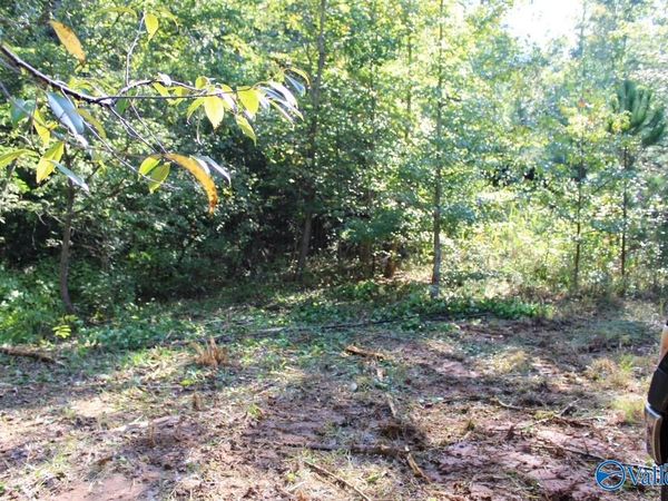 12.19 Jerry Street, Fort Payne, AL 35967