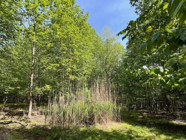 7893 LEASER ROAD, KEMPTON, PA 19529