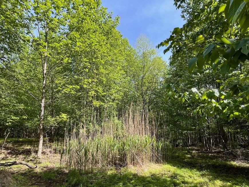 7893 Leaser Road, Kempton, PA 19529 Main Photo