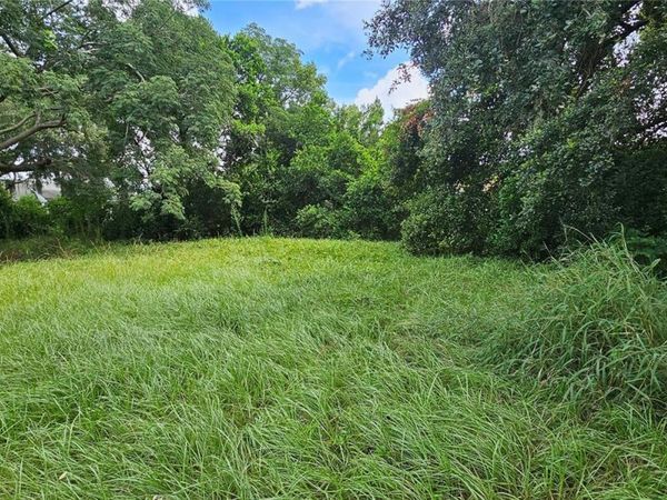 PINE ISLAND DRIVE, LEESBURG, FL 34788