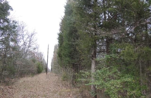 Tbd County Road 4455, Point, TX 75472 Main Photo