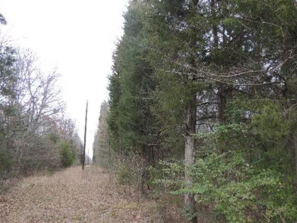 TBD County Road 4455, Point, TX 75472