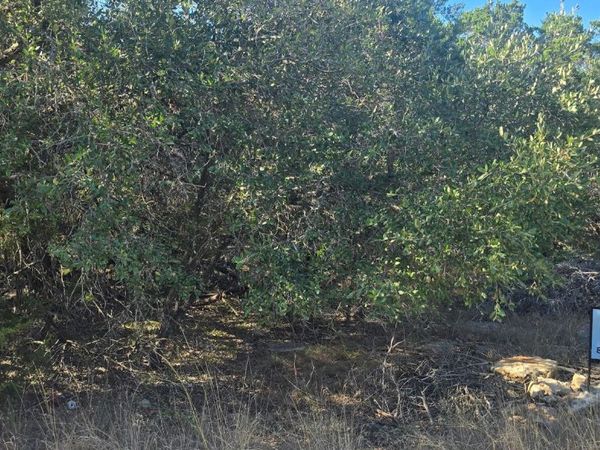 716 Line Camp Rd, Spring Branch, TX 78070