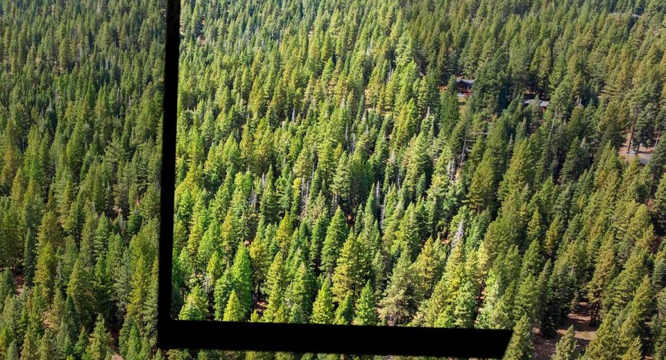 0 Barnes Drive, Truckee, CA 96161 Photo