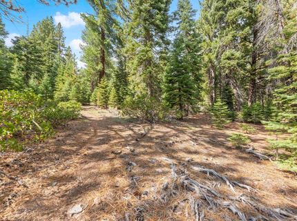 0 Barnes Drive, Truckee, CA 96161 Photo