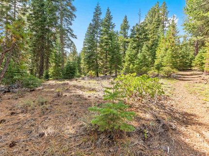 0 Barnes Drive, Truckee, CA 96161 Photo