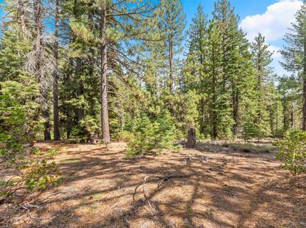 0 Barnes Drive, Truckee, CA 96161 Photo