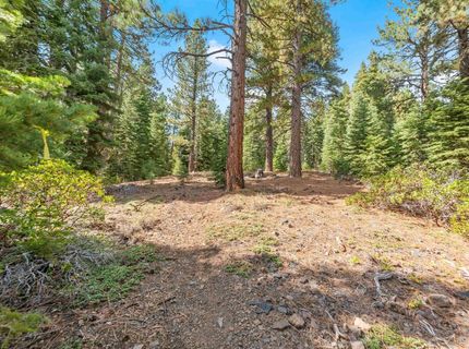 0 Barnes Drive, Truckee, CA 96161 Photo