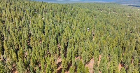 0 Barnes Drive, Truckee, CA 96161 Photo