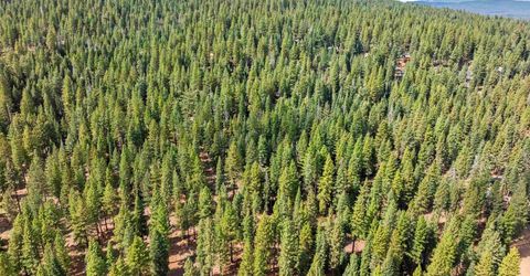 0 Barnes Drive, Truckee, CA 96161 Photo