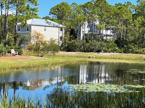 131 Lightning Bug Lane, St Teresa, FL 32358