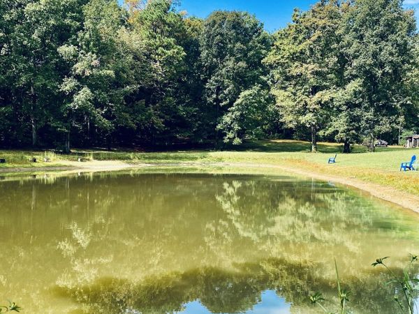 314 County Road 955, Valley Head, AL 35989