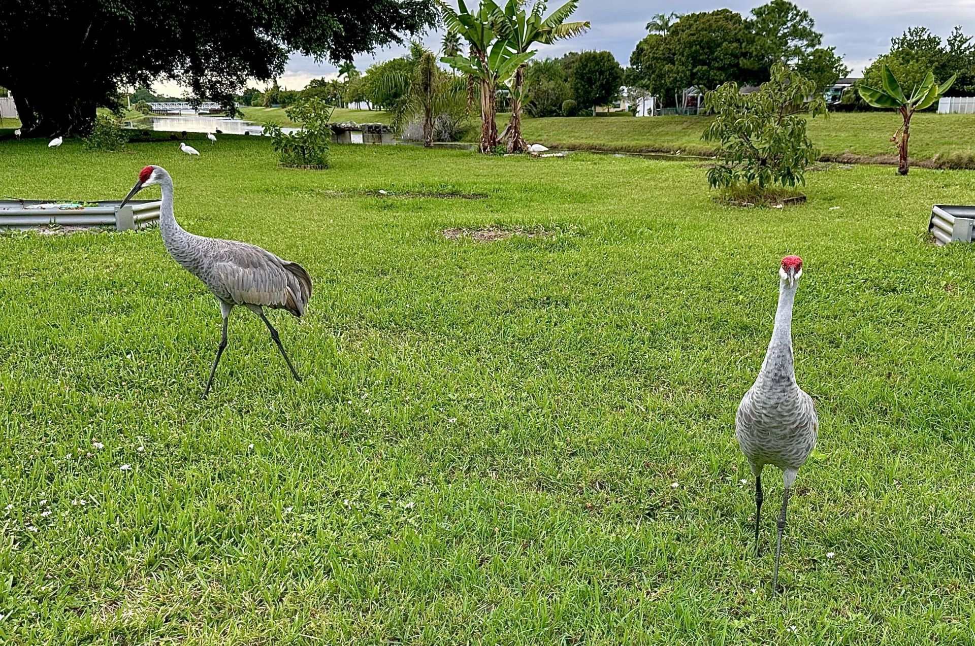 200 SW Ridgecrest Drive, Port Saint Lucie, FL 34953 Photo