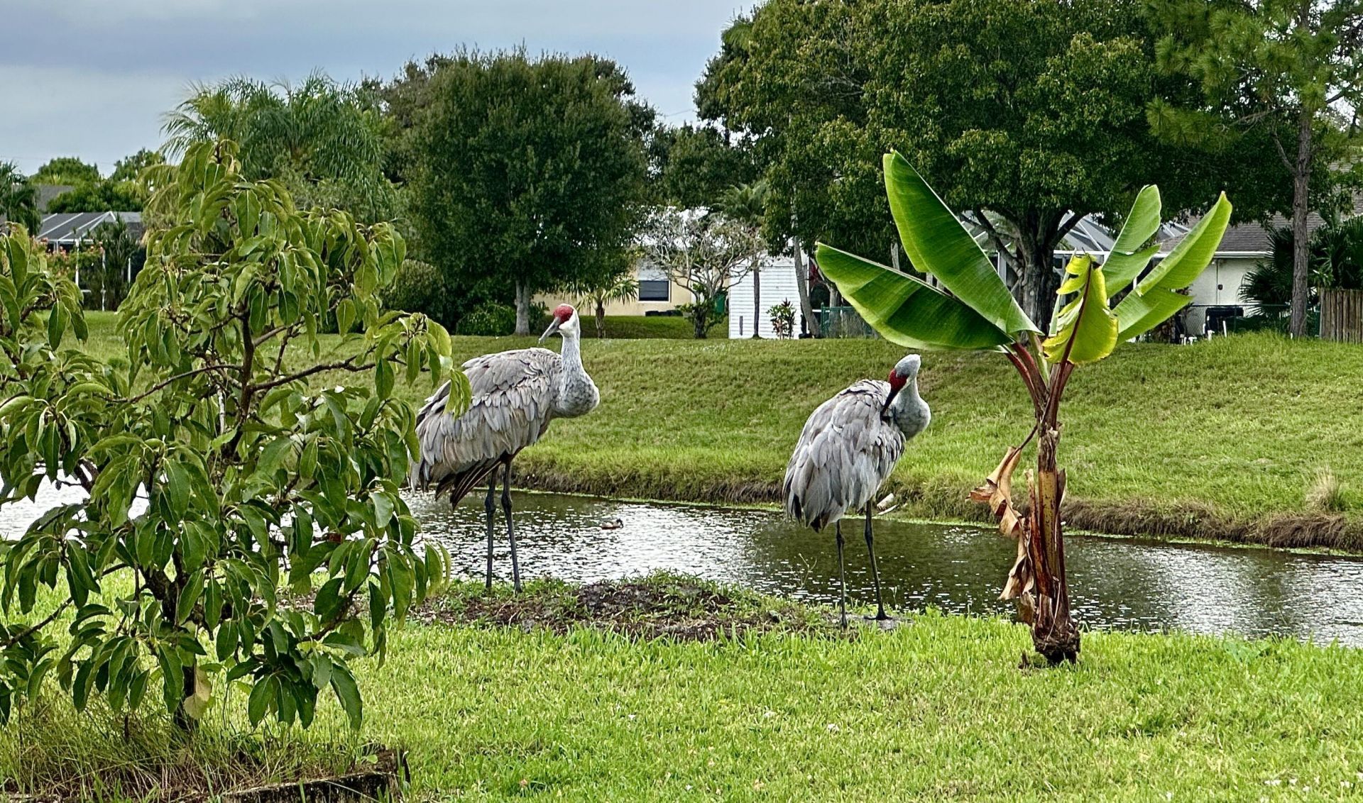 200 SW Ridgecrest Drive, Port Saint Lucie, FL 34953 Photo