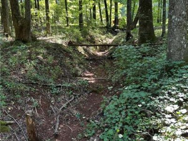 2470 Fears Road, Good Hope, GA 30650