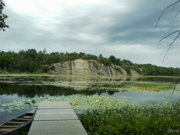 Island In Grass, Theresa, NY 13691