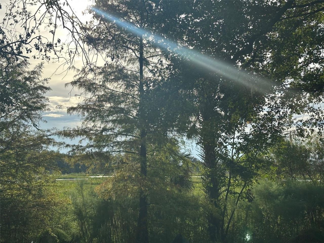 6661 E Turner Camp Road, Inverness, FL 34453 Photo