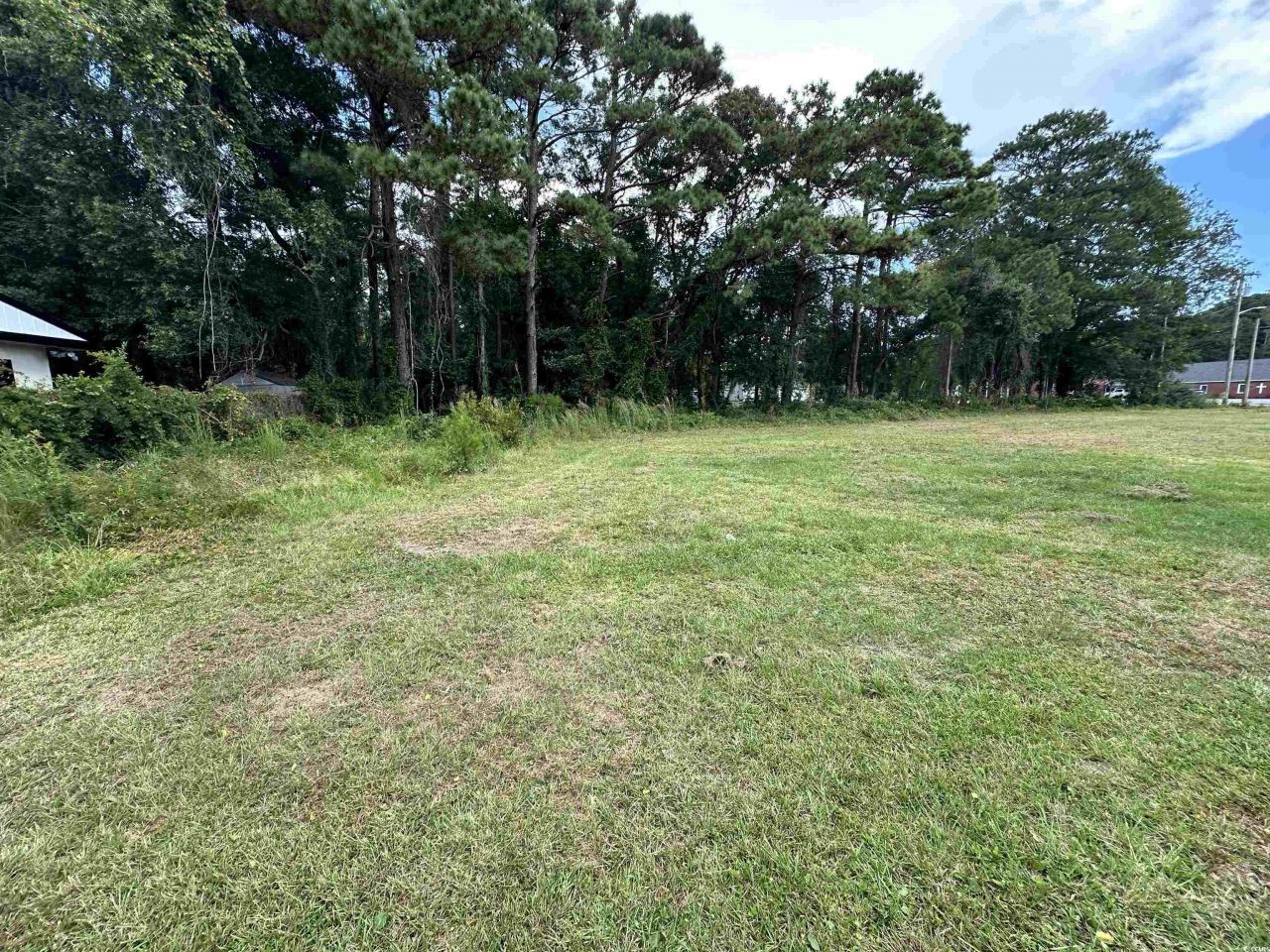 1101 Carver St. Photo 3