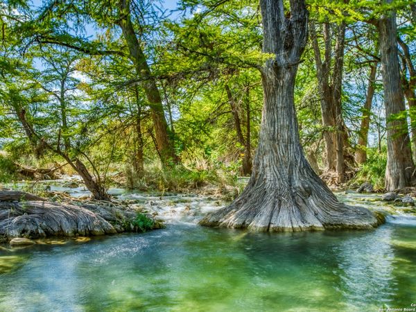 192 FM 2828, Medina, TX 78055