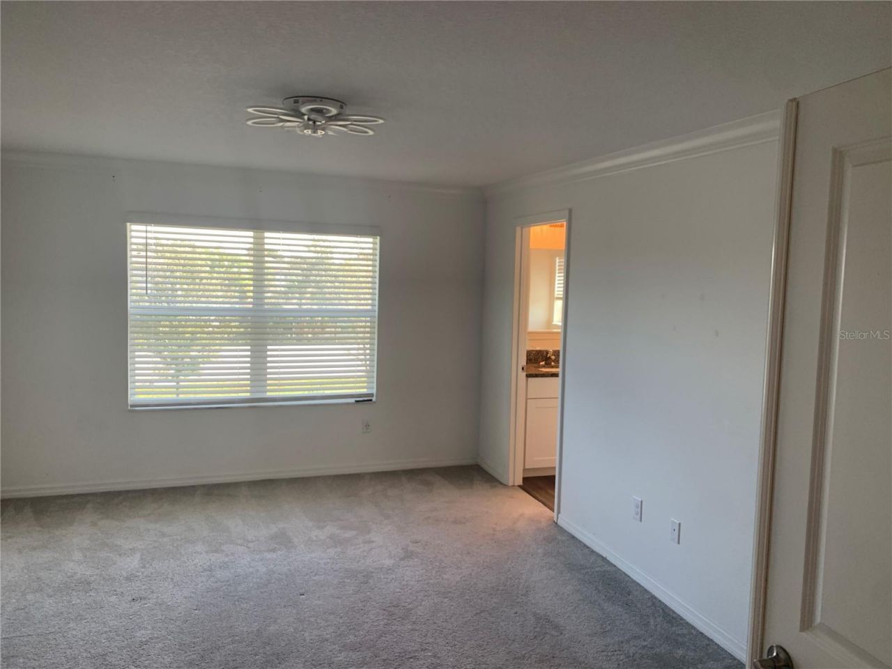 6930 Ripple Pond Loop, Zephyrhills, FL 33541 Photo