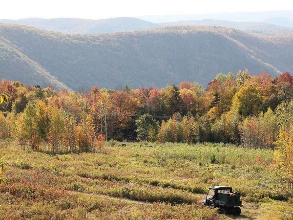 8 Thayer Road, Monroe, MA 01350