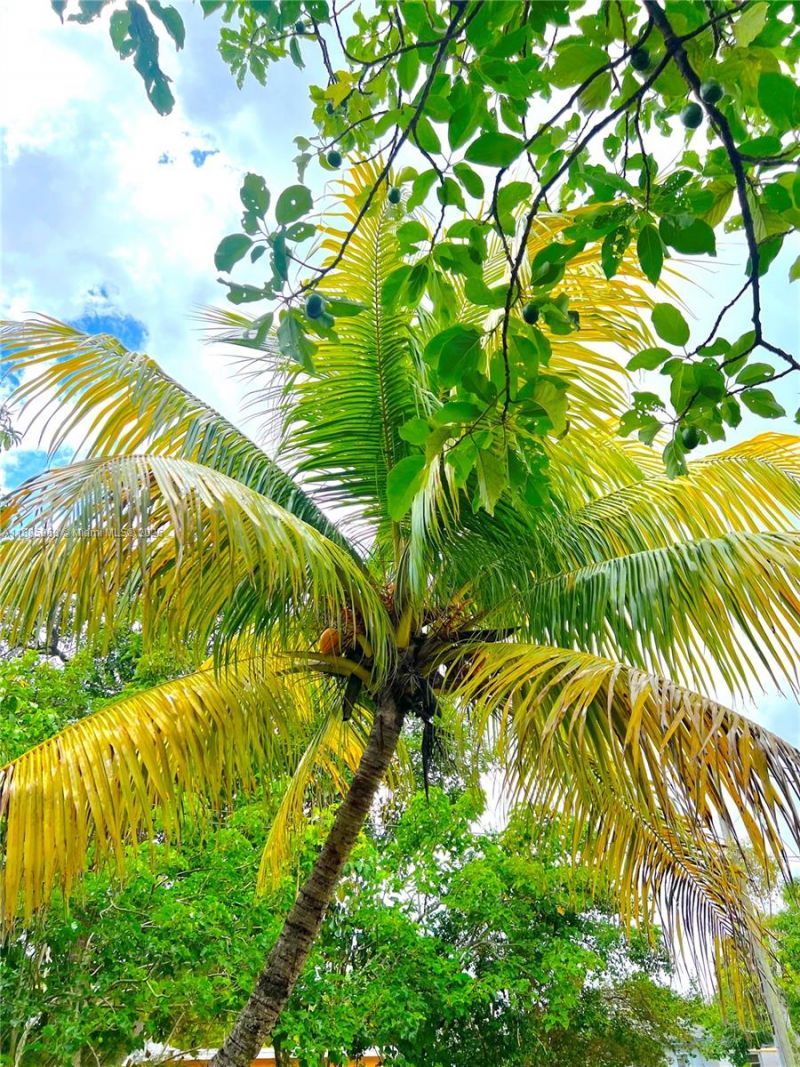 140 NW 124th St, North Miami, FL 33168 Photo