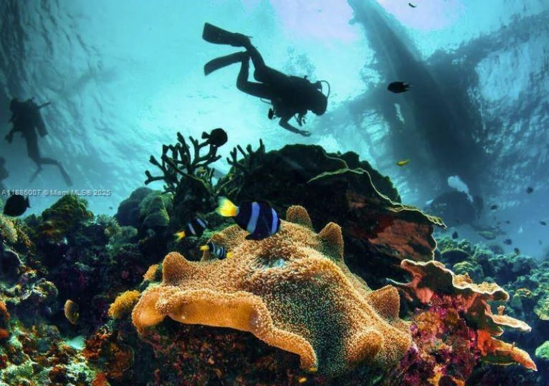 97501 Overseas Hwy, Unit 312, Key Largo, FL 33037 Photo