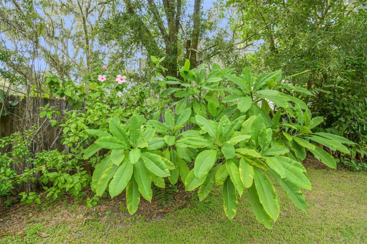 5504 Bruton Road, Plant City, FL 33565 Photo