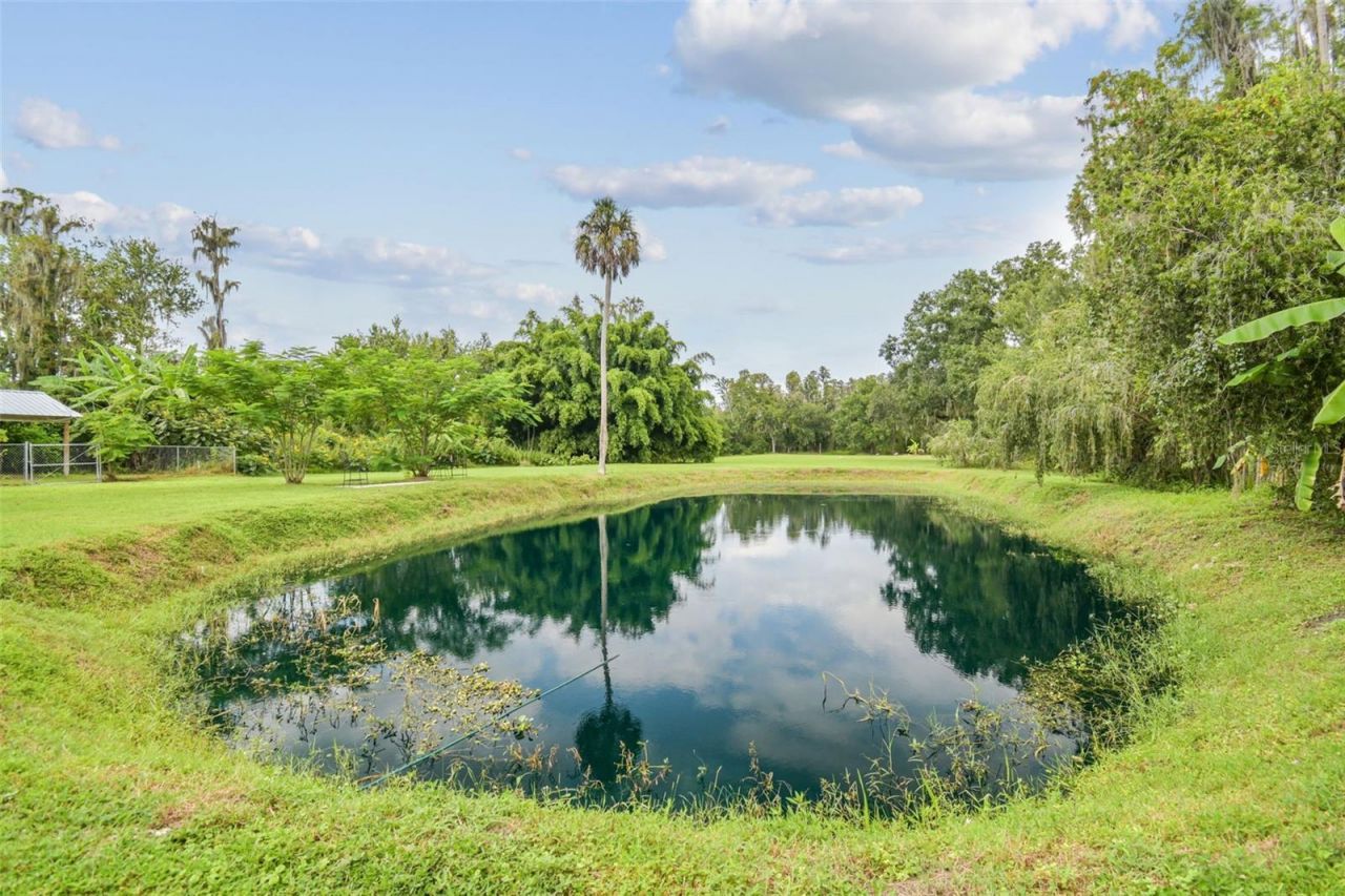 5504 Bruton Road, Plant City, FL 33565 Photo