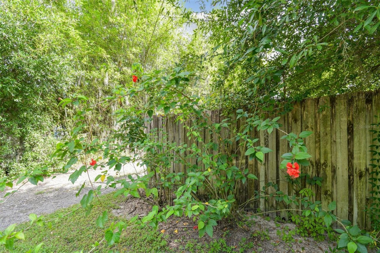 5504 Bruton Road, Plant City, FL 33565 Photo