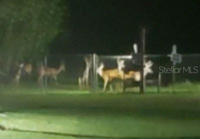 5504 Bruton Road, Plant City, FL 33565 Photo