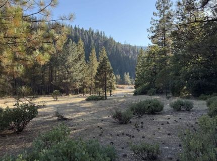 8439 - 8367 Butterfly Valley Twain Road, Twain, CA 95984 Photo