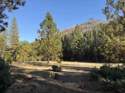 8439 - 8367 Butterfly Valley Twain Road, Twain, CA 95984 Photo