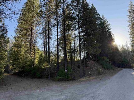 8439 - 8367 Butterfly Valley Twain Road, Twain, CA 95984 Photo