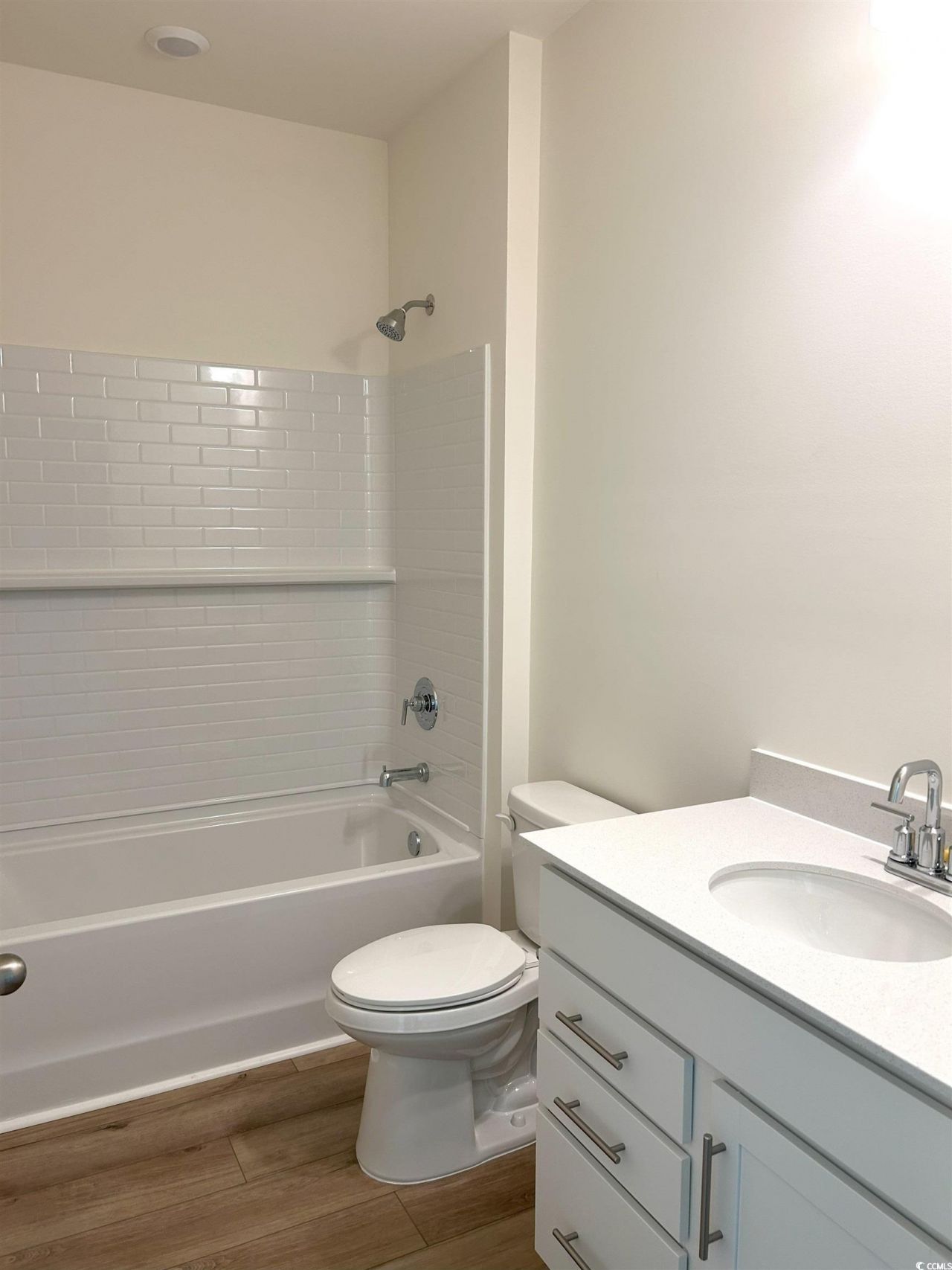 165 River Birch Dr. Photo 24