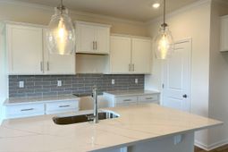 165 River Birch Dr. photo 4