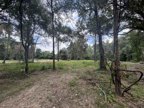 Hwy 110 Tract #2, Merryville, LA 70653