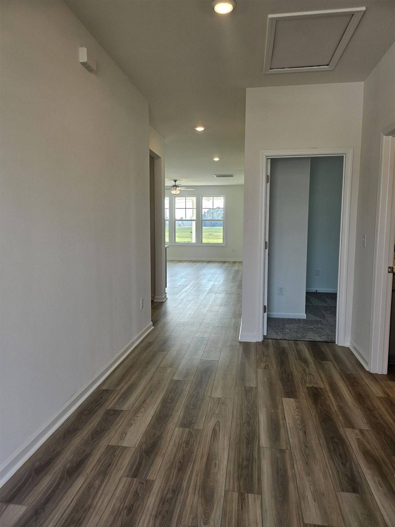 169 River Birch Dr. Photo 12