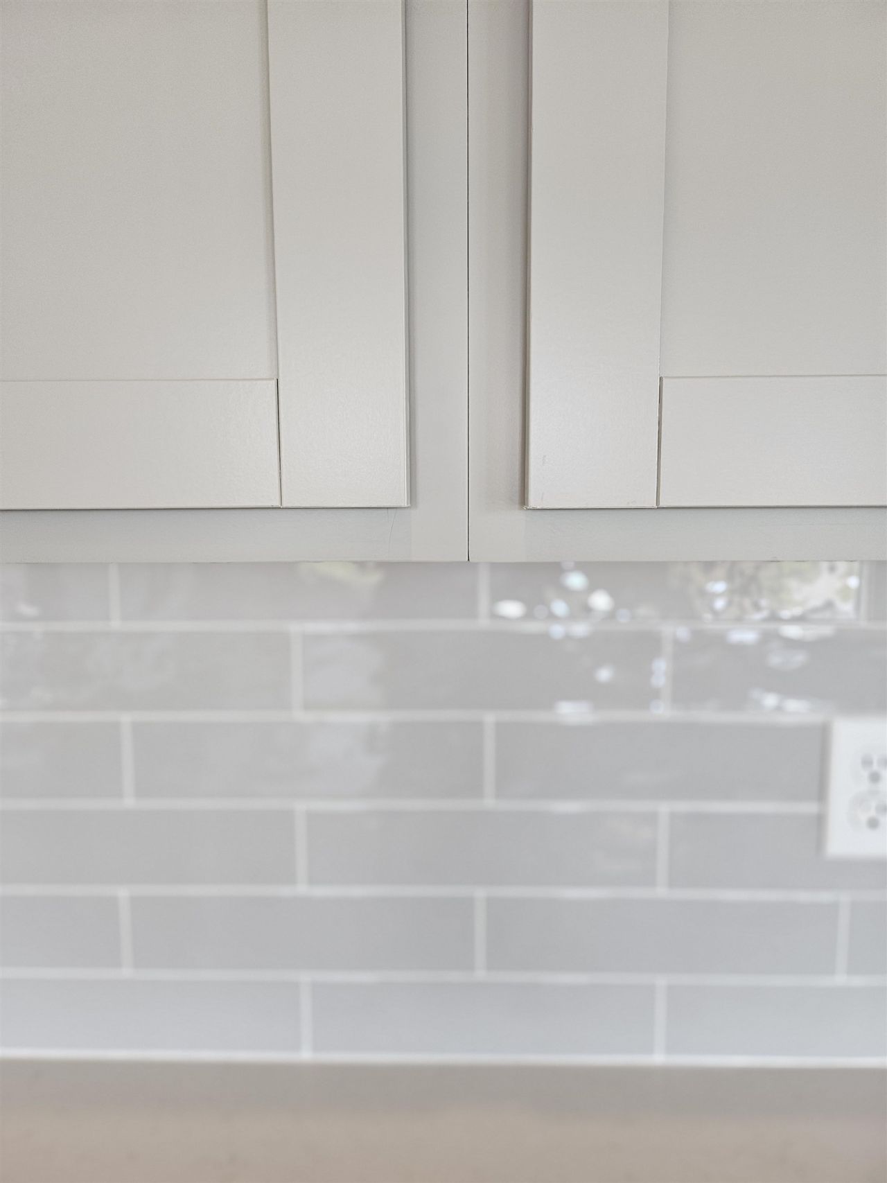 169 River Birch Dr. Photo 19