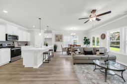 169 River Birch Dr. photo 4