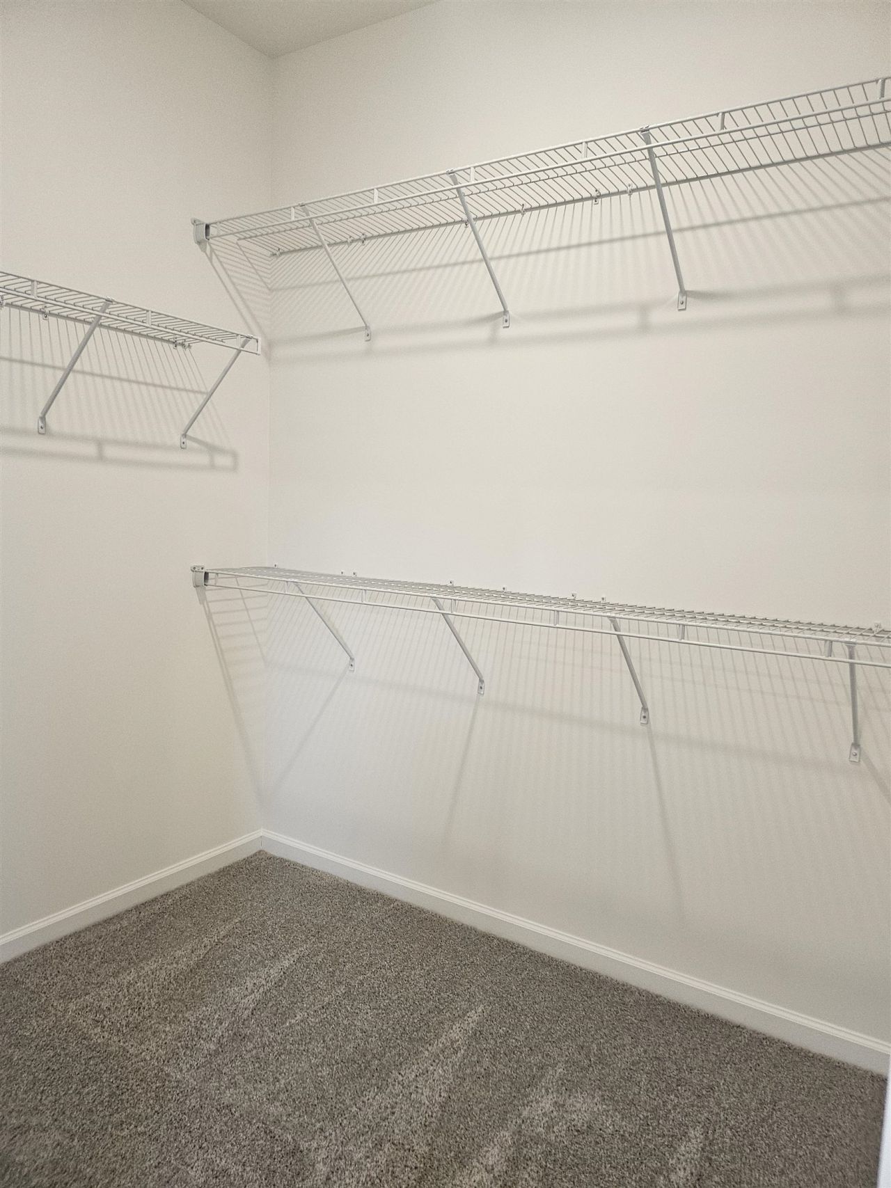 169 River Birch Dr. Photo 25